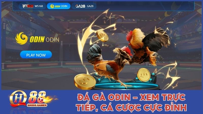 Đá Gà ODIN