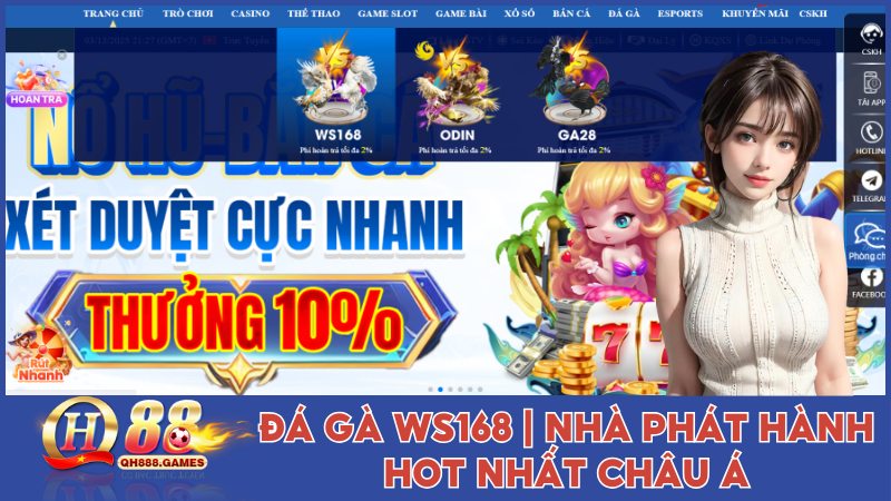 Đá gà WS168