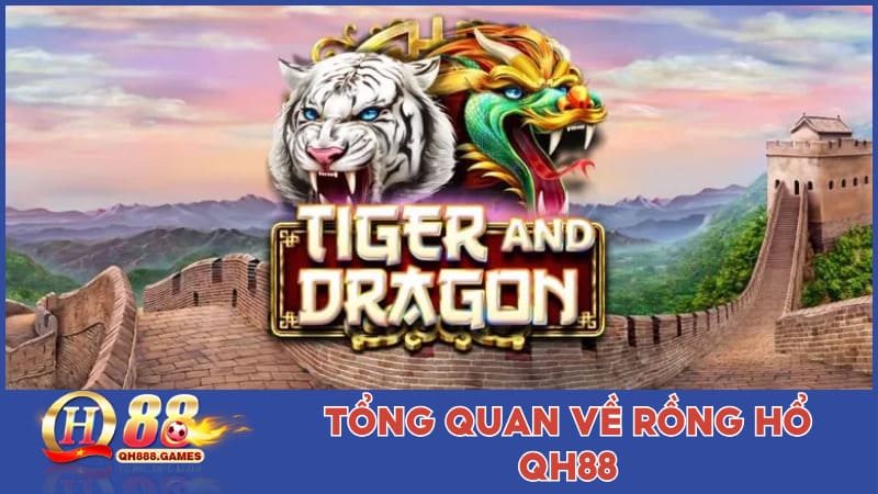 Khám phá tổng thể về game Rồng Hổ tại QH88