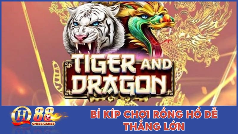 Mẹo chơi Rồng Hổ QH88 để đạt chiến thắng cao