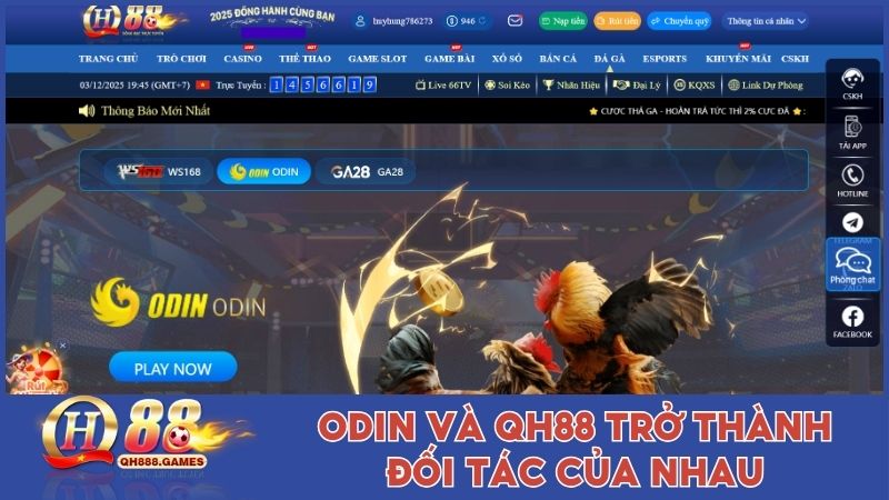 ODIN và QH88 trở thành đối tác của nhau