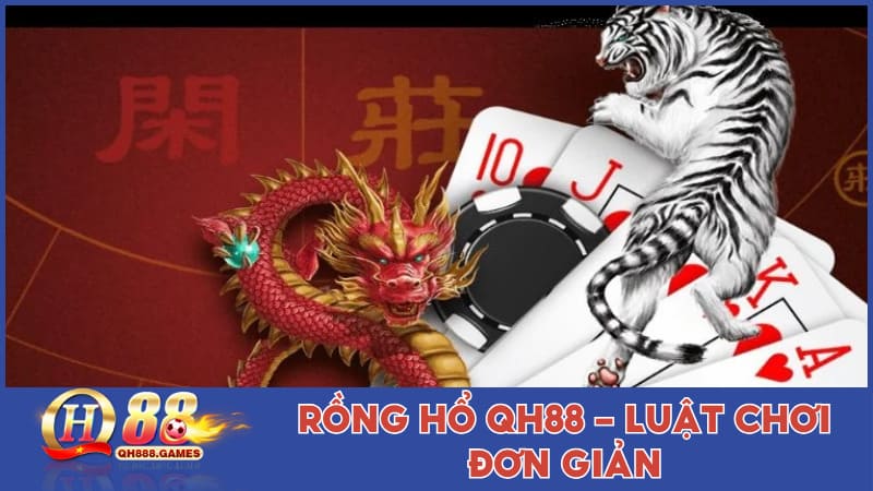 Rồng Hổ QH88